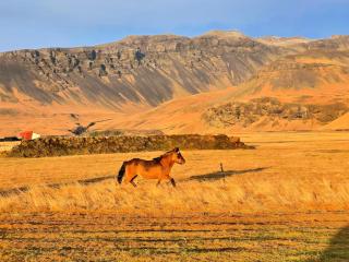 Aurora Glass Cabin I Private Sauna and Jacuzzi - 1