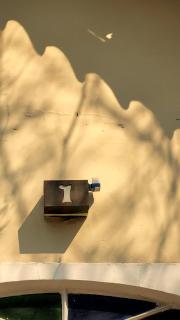 Pousada Gaturama suite 1 - 1