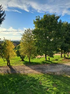 Les Berlingots Gîte for 10-12 personnes - 2