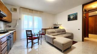 Relax & Comfort 30 min from Milan and Rho Fair - 1