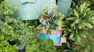 Private Villa with Pool & Heated Jacuzzi, AC, Jungle Garden Near Amenities & Beach - 9