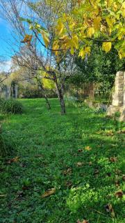 La suite d'Ananda - 5