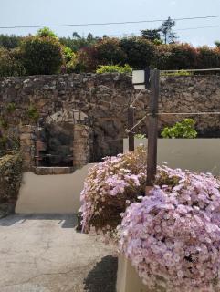 Doniños Paraíso - 7