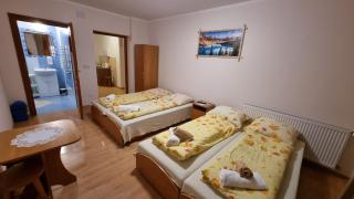 Willa u Skrajnioka - 4