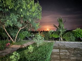 Warm Retreat Away From Home - 8