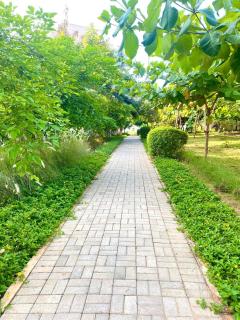 Warm Retreat Away From Home - 6