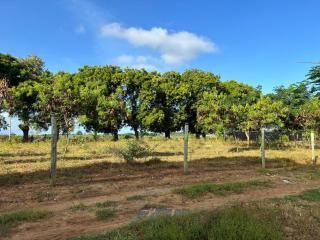 Warm Retreat Away From Home - 3