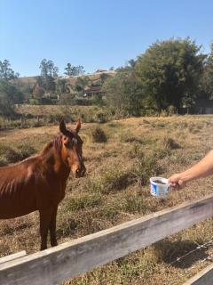 Sítio do Beto Extrema MG - 7