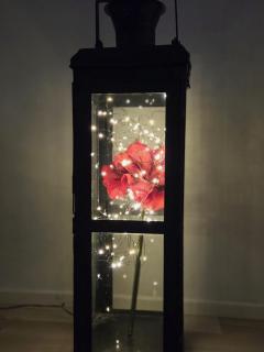 Arctic Circle Home - 2