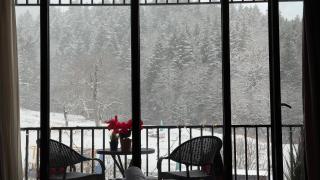 Didveli Gallery Bakuriani B202 დიდველი გალერეა ბაკურიანი B202 - 2