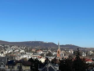 Skyvilla Wien - Terrassenwohnung - 2