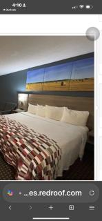 Red Roof Inn and Suites - 9