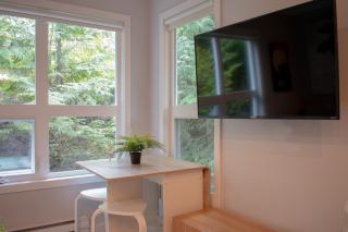 1BR in Gondola Village, Near Gondola, Free Parking, Updated Unit, Incredible Location - 6