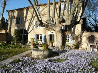 La Petite Seigneurette - Villeneuve-lès-Avignon - 0