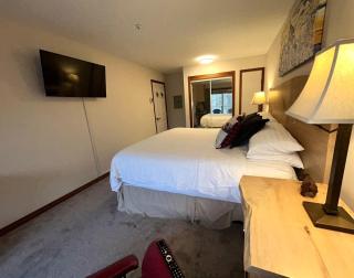 XL Luxury Penthouse Ski-in Ski-out The Aspens - 9