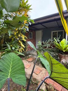 Baansuan Suksangob Farm Stay - 9