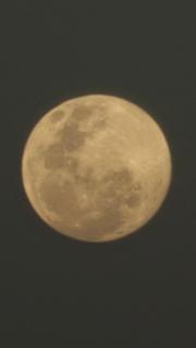 Gran Malbec - Luján de Cuyo - 1