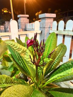 Miss Kay Homestay - 4