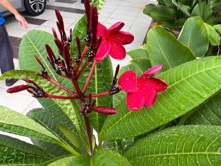 Miss Kay Homestay - 5