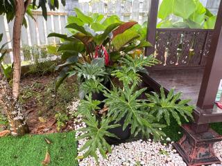 Miss Kay Homestay - 7