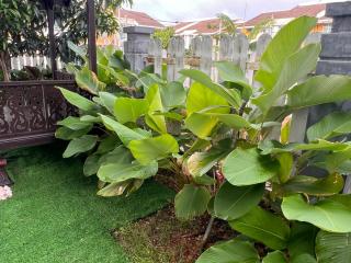 Miss Kay Homestay - 8