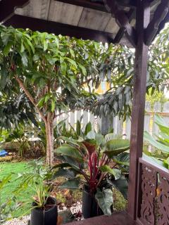 Miss Kay Homestay - 9