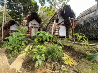 HostelyGlampingNativo - 0