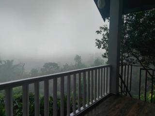 Rainforest Nature House - 3