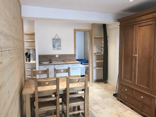 Appartement rénové 1 chambre avec balcon, parking et wifi centre station - FR-1-836-62 - 3