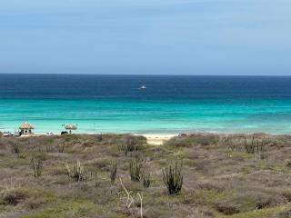 Palma Azul- Dushi Bida - 9