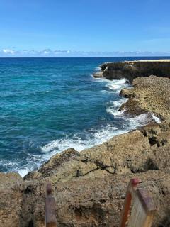 Palma Azul- Dushi Bida - 8