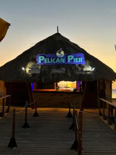 Palma Azul- Dushi Bida - 3