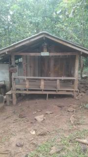 Watchara organic farm - 4