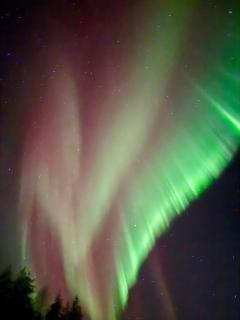 Authentic Log Cottage with Hot Tub - 8