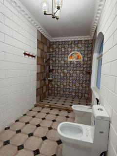 شاليهات ليوا - 2