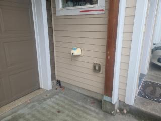 Aloha Paradise Room - 8