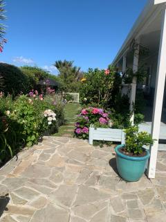 Hahei Hibiscus Cottage Guest House - 6