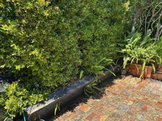 Holiday home in central Eden Terrace, Auckland - 5