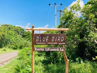 Blue Bird Hotel - 1