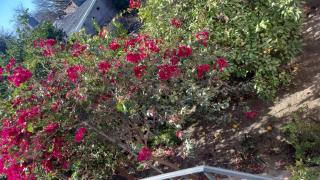 Departamento cómodo - 4