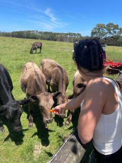 Tarra by the Tides - 9