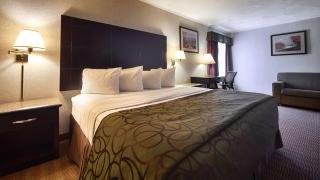 Quality Inn Tully I-81 - Tully - 6