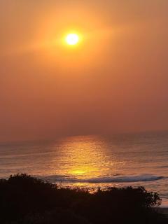 Tropical sun - Amanzimtoti - 3