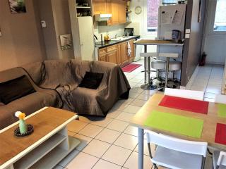 Près de Lille au calme - 3