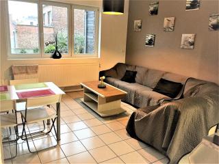 Près de Lille au calme - 1