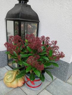 Apartamenty Okrętowa 23 Bolek Lolek - 6