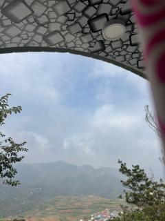 D Classicals - Kodaikānāl - 3