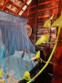 Bird House Mirissa - 5