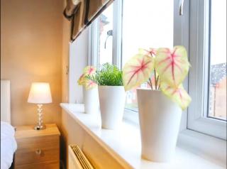 Modern Two-Bedroom House Close to City Centre - Manchester - 9