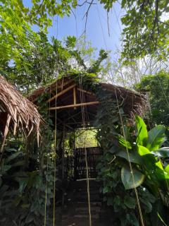 Calamansi Garden - Full House Rental - 5